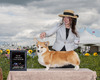 GCh. Ovaris It's Nacho Problem  (Chili)